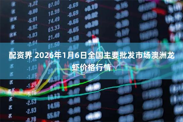 配资界 2026年1月6日全国主要批发市场澳洲龙虾价格行情