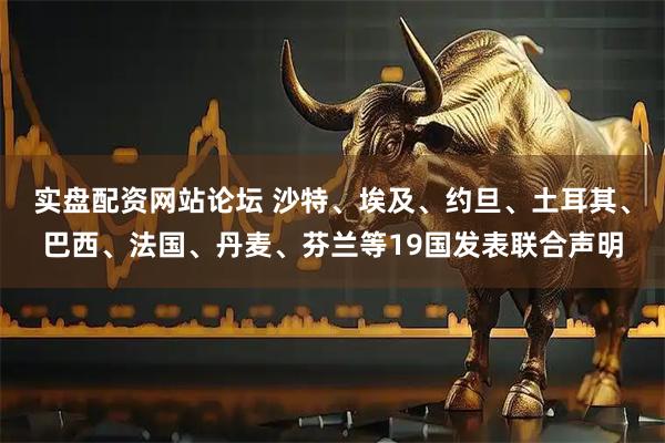 实盘配资网站论坛 沙特、埃及、约旦、土耳其、巴西、法国、丹麦、芬兰等19国发表联合声明