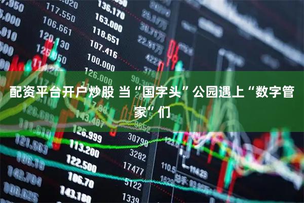 配资平台开户炒股 当“国字头”公园遇上“数字管家”们