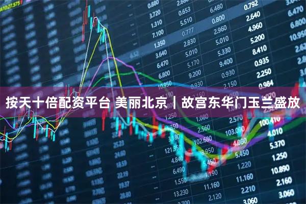 按天十倍配资平台 美丽北京｜故宫东华门玉兰盛放
