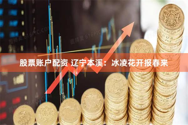 股票账户配资 辽宁本溪：冰凌花开报春来