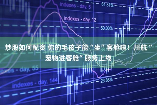 炒股如何配资 你的毛孩子能“坐”客舱啦!川航“宠物进客舱”服务上线